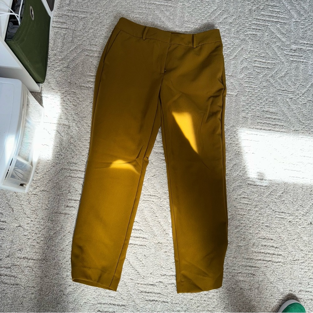 Ann Taylor Factory pant in olive green